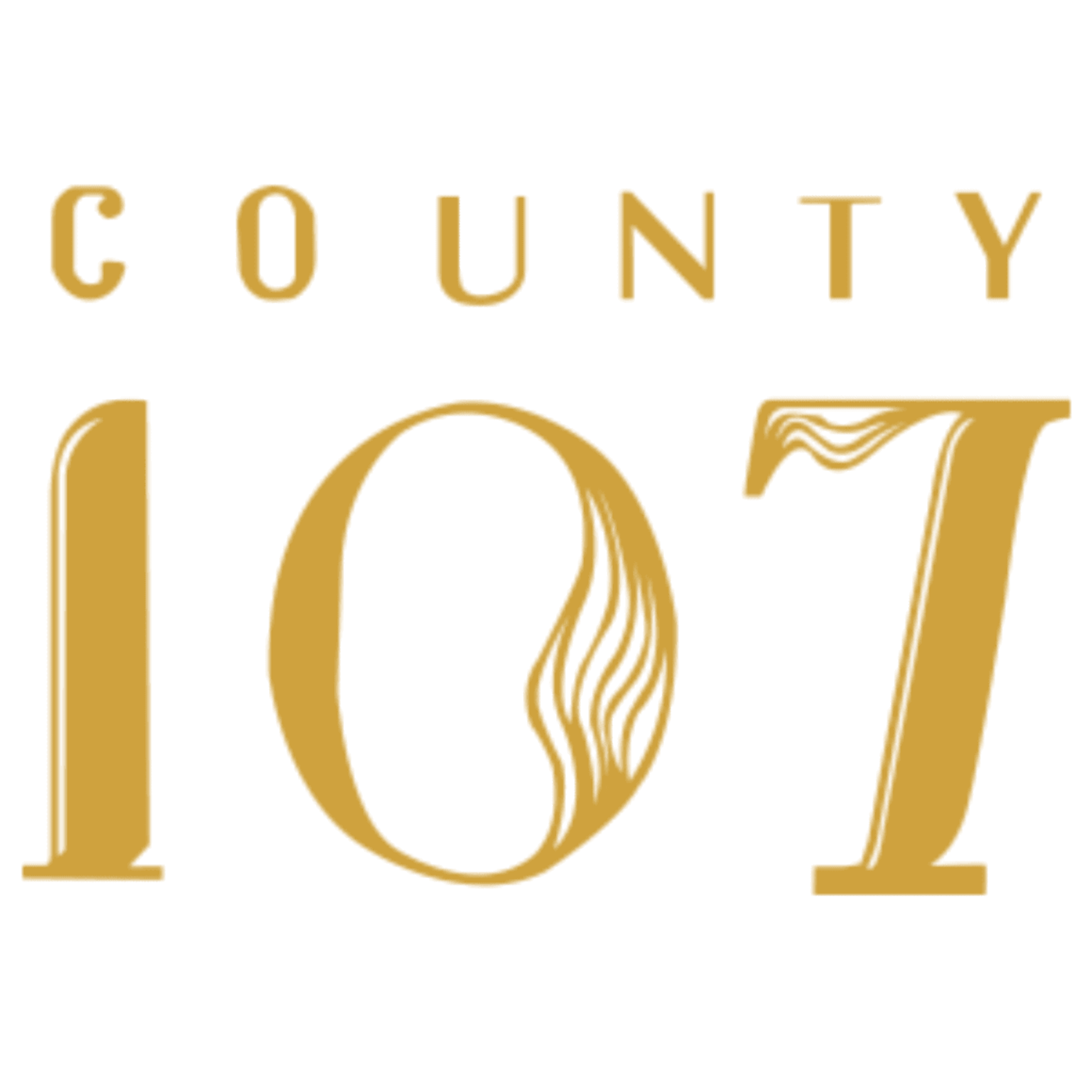 Partner logo 2